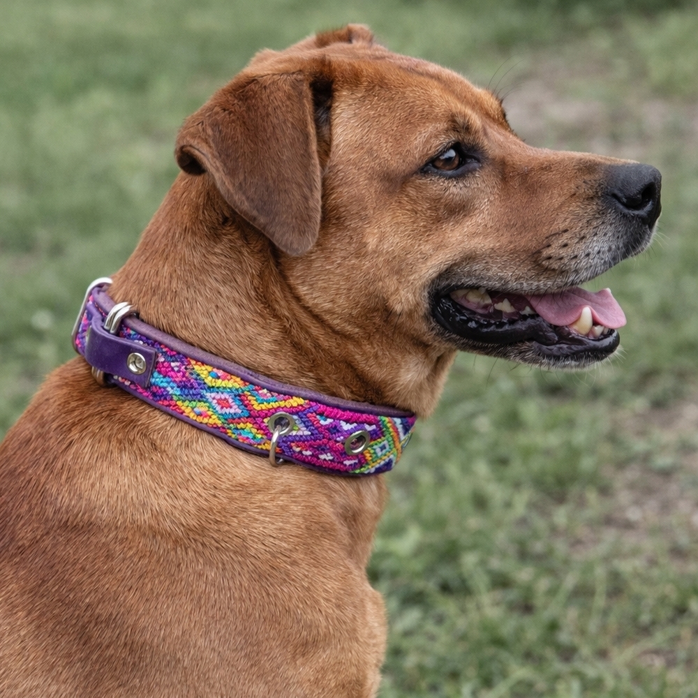 Artisan Handwoven Colorful Dog Collar